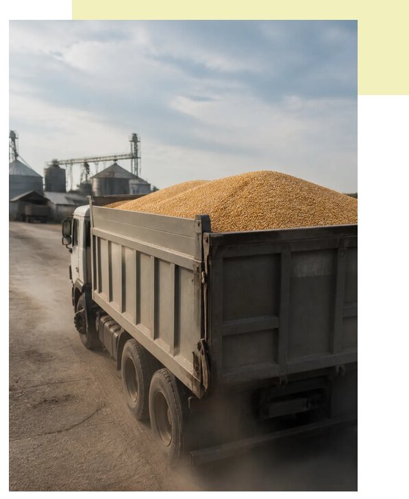 Перевозка сельхозпродукции навалом в Минусинск по цене от 3048 р. | Агросервис-Мнс