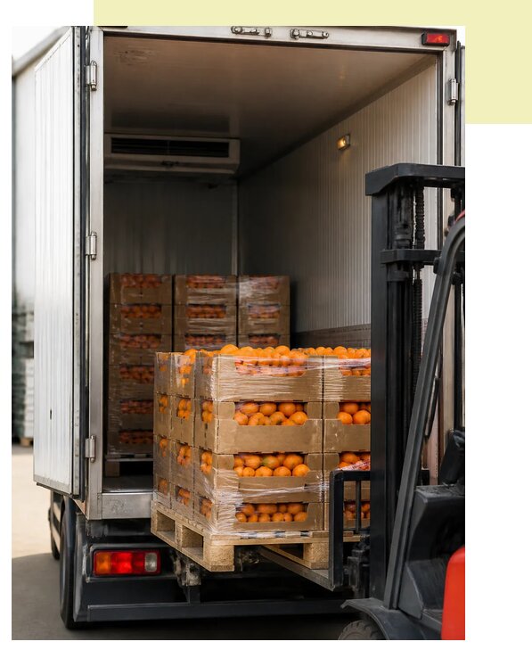 Перевозка апельсинов в Минусинск по цене от 5081 р. | Агросервис-Мнс